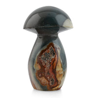 Multi Jasper Mushroom -L Approx 907ctw