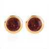 Mozambique Garnet / January