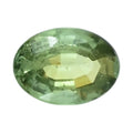 Collector's Edition AAAA Demantoid Garnet (Ovl 7x5 mm) 0.80 ctw - Sticky add to cart bar