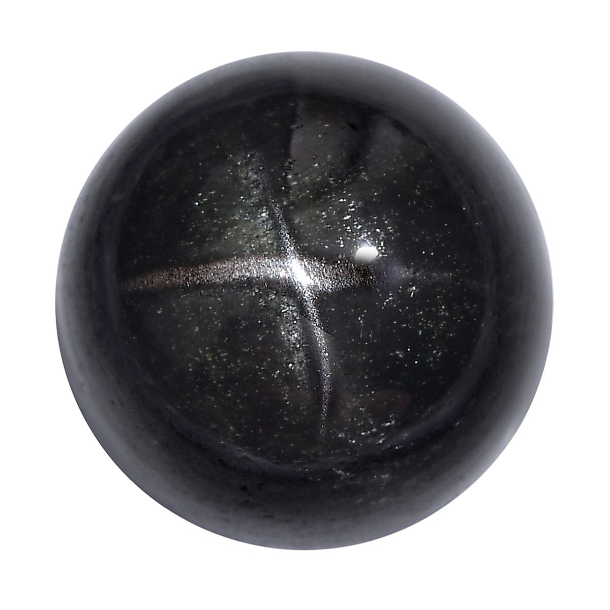 Black Star Diopside (Rnd 11 mm) 6.82 ctw Loose Gemstone