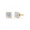 10K Yellow Gold