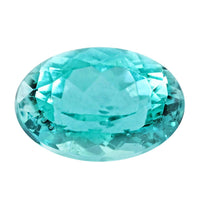 Certified and Appraised AAAA Paraiba Tourmaline (Ovl Free Size) 1.15 ctw