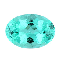 Certified & Appraised AAAA Paraiba Tourmaline (Ovl Free Size) 0.75 ctw