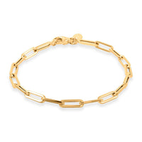 5.5mm Paper Clip Chain Bracelet in 10K Yellow Gold (8.00 In) 6.20 Grams