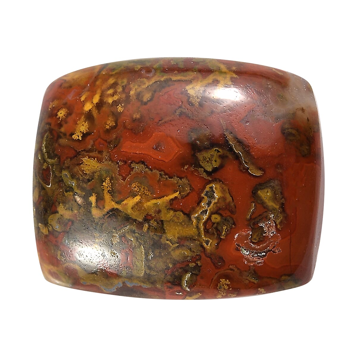 Slice Agate (Cush 12x10 mm) 3.80 ctw Loose Gemstone