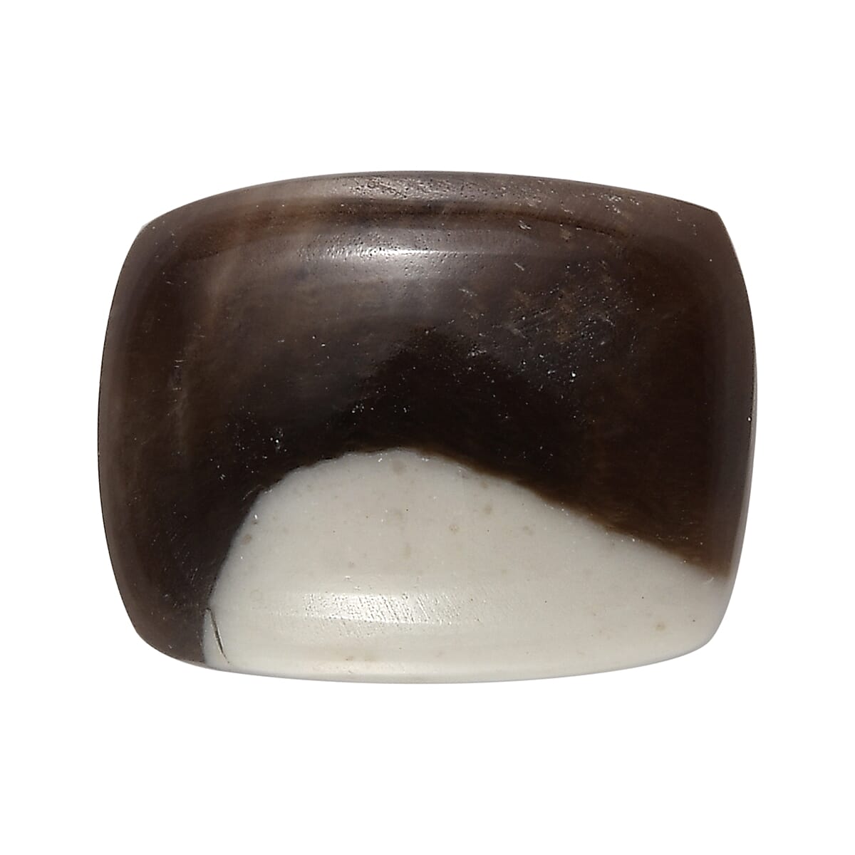 Peanut Wood Jasper (Cush 9x7 mm) 1.50 ctw Loose Gemstone
