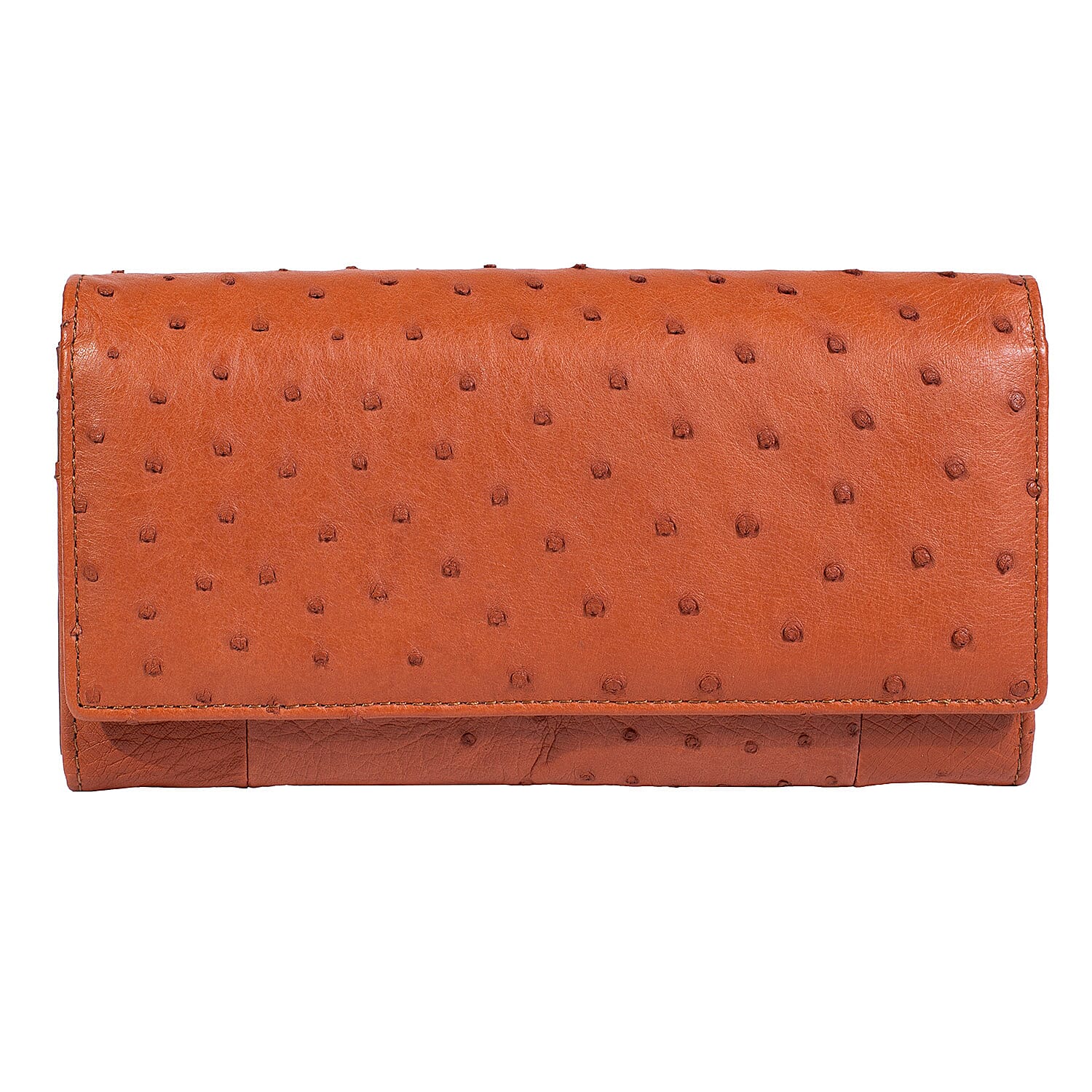 The Grand Pelle Brown Ostrich Genuine Python Leather Envelope Clutch Bag (7.48"x3.93"x1.18")