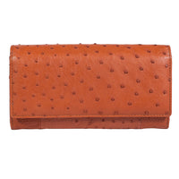 The Grand Pelle Brown Ostrich Genuine Python Leather Envelope Clutch Bag (7.48"x3.93"x1.18")