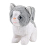 Gray & White