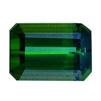 Gem Hunter Collection AAAA SAPO Tourmaline (Oct 8x6 mm) 1.60 ctw