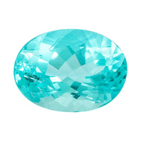 Collector's Edition Certified & Appraised AAAA Paraiba Tourmaline (Ovl Free Size) 2.16 ctw