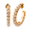Golden Shell Pearl