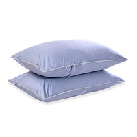 Livmore Set of 2 Blue Nylon and Spandex Cooling Pillowcase (20"x30")