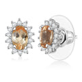D'Joy Premium Imperial Garnet and Moissanite 1.40 ctw Sunburst Earrings in Rhodium Over Sterling Silver - Sticky add to cart bar