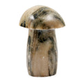 Calcite Brown Mushroom -Small 3640ctw - Sticky add to cart bar