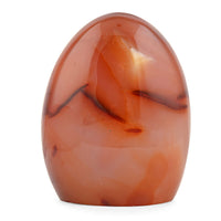 Cornaline Freeform -Medium 1862ctw