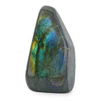 Tucson Find Labradorite Freeform 3651ctw