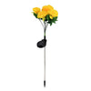 Yellow Daisy Flower
