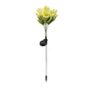 Yellow Lily Flower