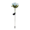 Blue Lily Flower