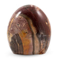 Petrified Wood Freeform -Large 4989ctw - Sticky add to cart bar