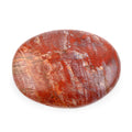 Petrified Wood Gallet -Medium 730ctw - Sticky add to cart bar