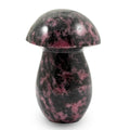 Rhodonite Mushroom -Medium 937ctw - Sticky add to cart bar