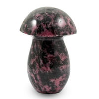 Rhodonite Mushroom -Medium 937ctw