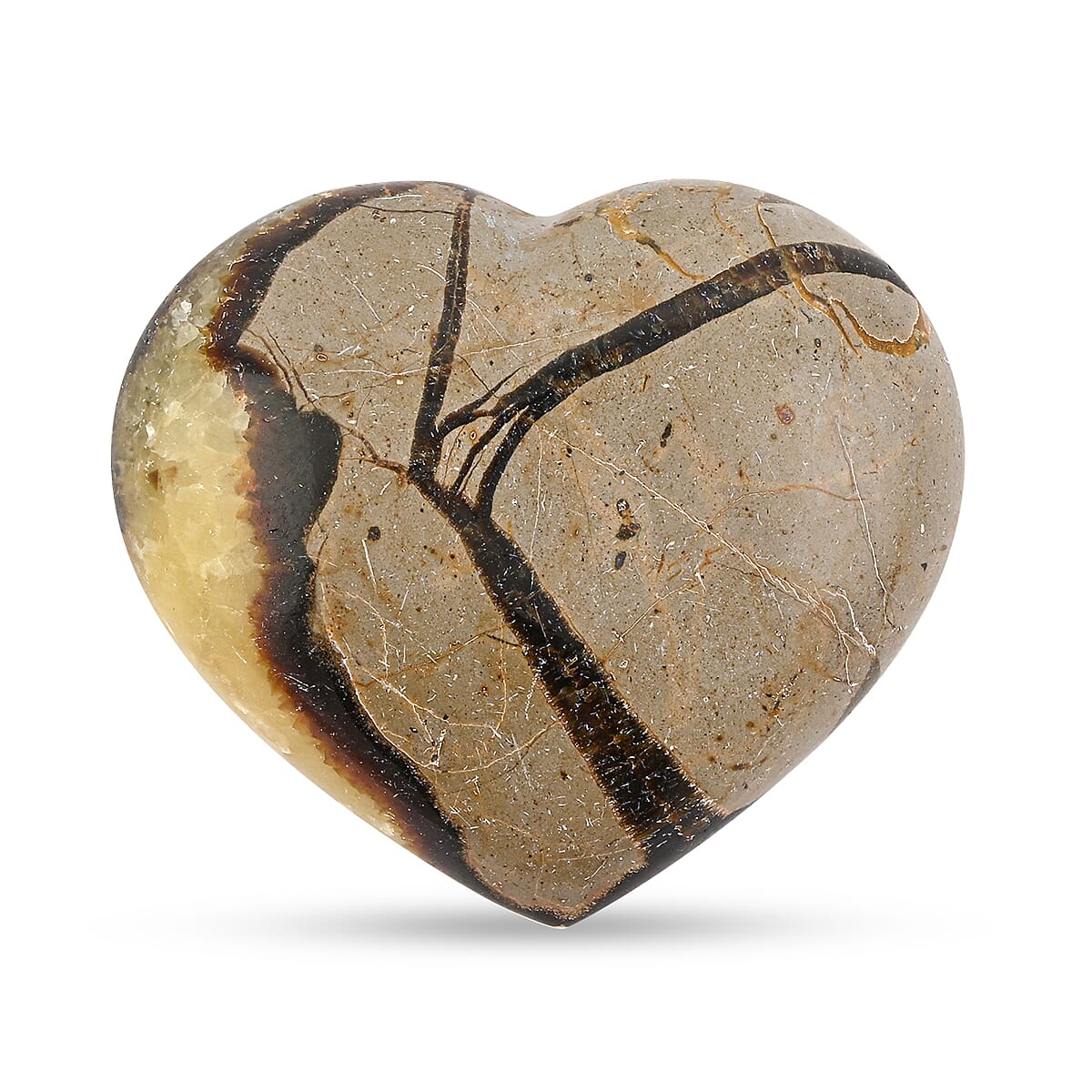 Septaria Heart Shape -Small 562ctw