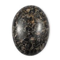 Graphic Tourmaline Palm Freeform 434.00 ctw