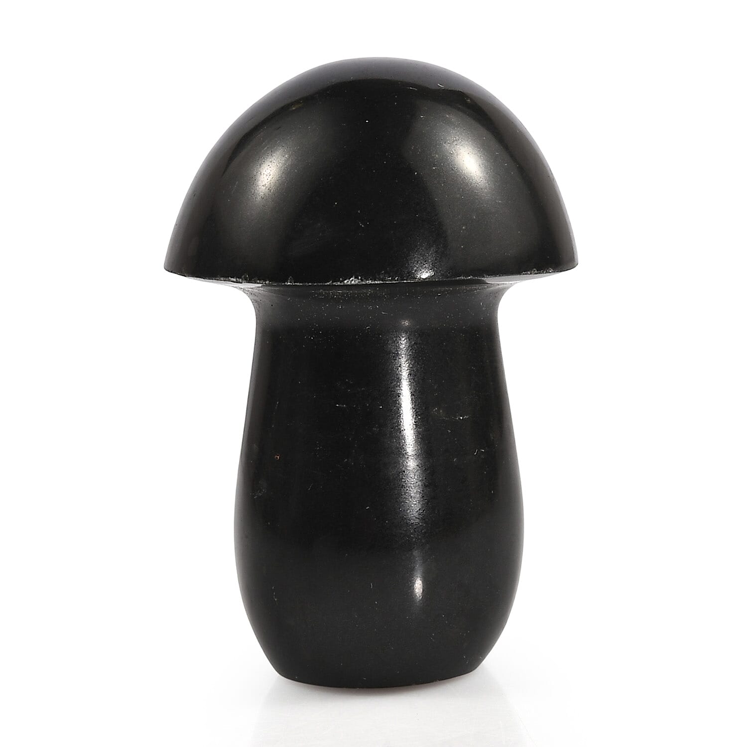 Australian Black Tourmaline Mushroom Freeform 411.00 ctw