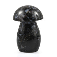 Gabru Jasper Mushroom Freeform 900.00 ctw