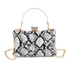 Grey & White Snake