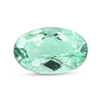 Certified & Appraised AAAA Paraiba Tourmaline (Ovl Free Size) With Free Paraiba Book 1.00 ctw