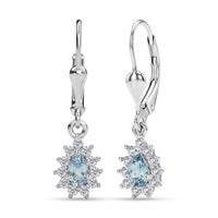 D'Joy Santa Maria Aquamarine and Moissanite 0.70 ctw Earrings in Rhodium Over Sterling Silver