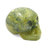 Serpentine Skull Small 2408 ctw
