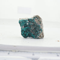 Dioptase Crystal XS 300ctw