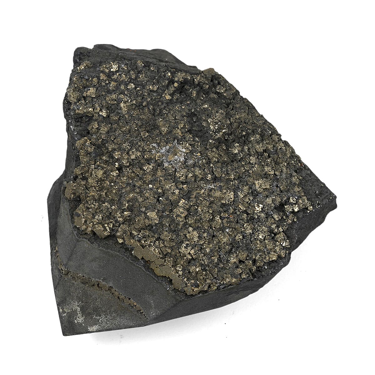 Shungite Pyrite L