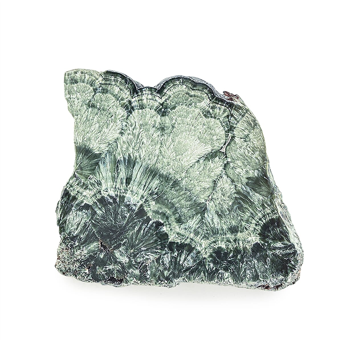 Seraphinite M 563 ctw