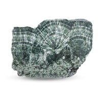 Seraphinite XL 900 ctw