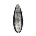 Othoceras 195 ctw - Sticky add to cart bar