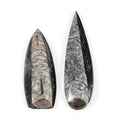 Set of 2 Othoceras 280ctw - Sticky add to cart bar