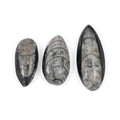 Set of 3 Othoceras 160ctw - Sticky add to cart bar