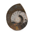 Ammonite L - Sticky add to cart bar
