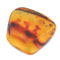 Amber Insect L - Sticky add to cart bar
