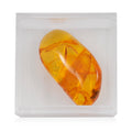 Baltic Amber with Insect (Free Size) 21.25 ctw - Sticky add to cart bar