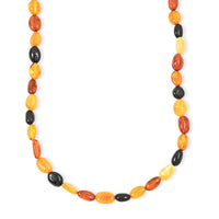 Multi Color Amber Autumn Beaded Necklace (22 Inches)