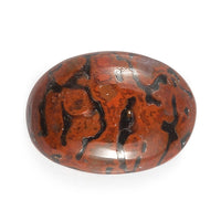 Dino Gem Bone (Ovl 7x5 mm) 0.73 ctw