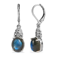 EverTrue Malagasy Labradorite Earrings in Stainless Steel 7.00 ctw