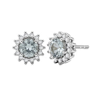 D'Joy Premium Mangoro Aquamarine and Moissanite 1.10 ctw Serene Star Studs Earrings in Rhodium Over Sterling Silver